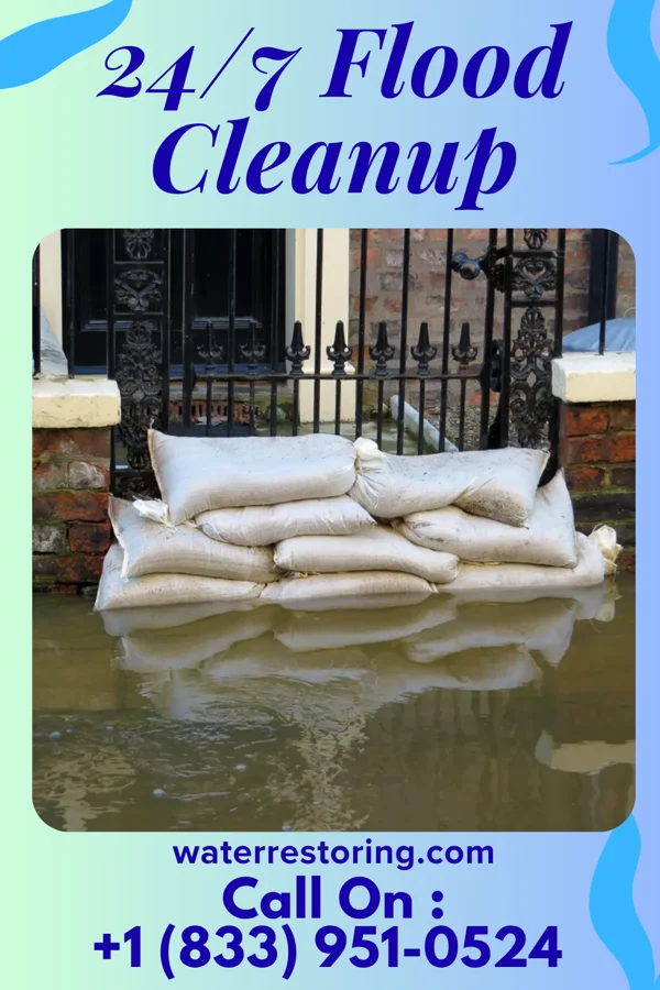 24/7 Flood Cleanup in Fremont Hills, MO