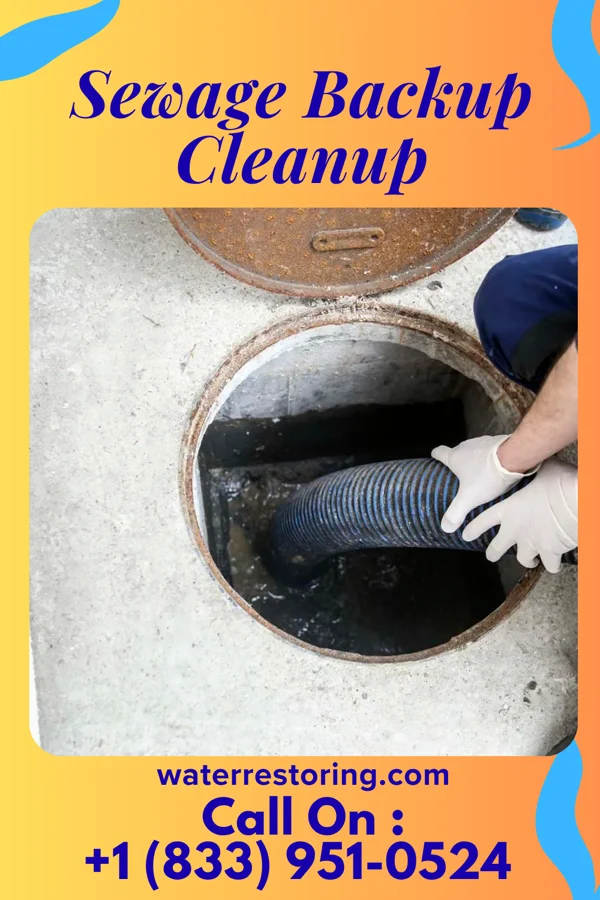 Sewage Backup Cleanup in Fremont Hills, MO