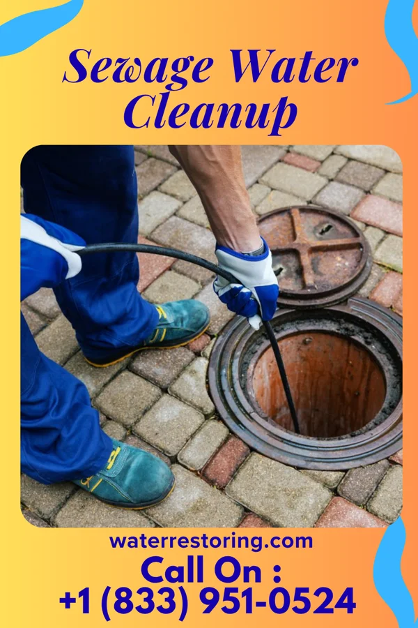 Sewage Water Cleanup in Fremont Hills, MO